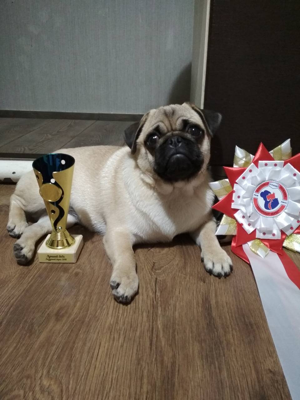  Севастополь сентябрь 2018.jpg